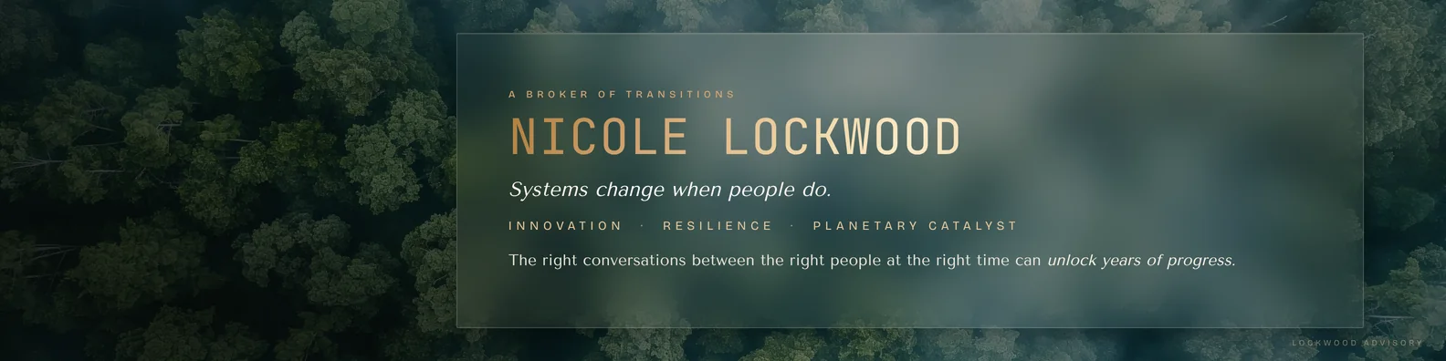 NL LinkedIn banner